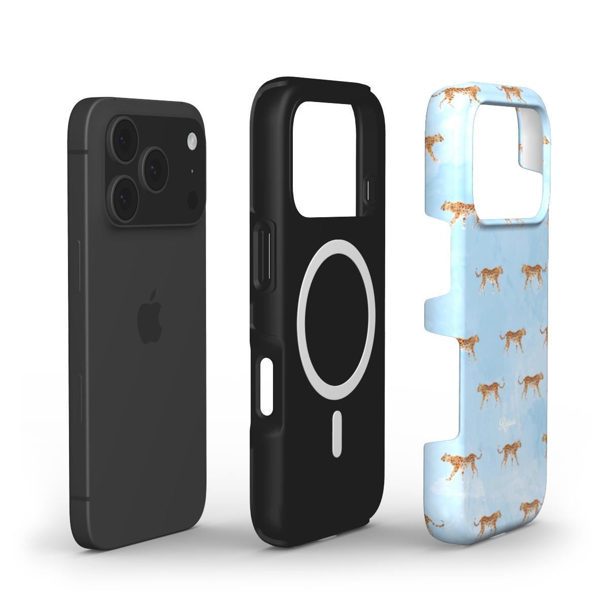 MagSafe Roam